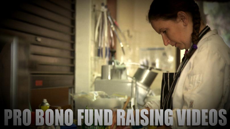 PRO BONO Fund Raising Videos